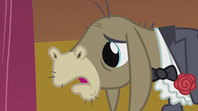 File:Cranky "the love of my life deserves better than this!" S5E9.png