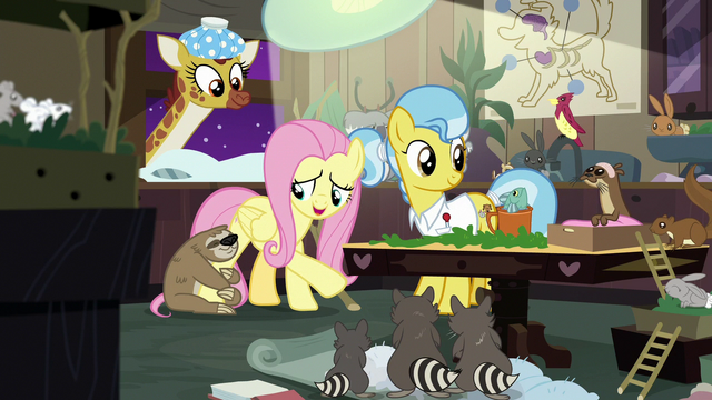 File:Fluttershy "everyone back to sleep now" S7E5.png