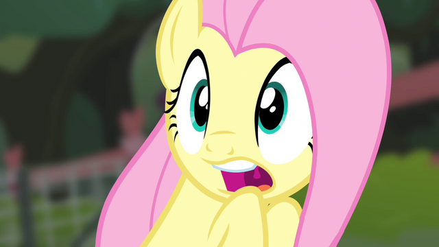 File:Fluttershy shocked S4E14.png