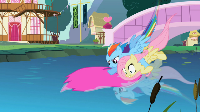 File:Zooming with Fluttershy S02E10.png