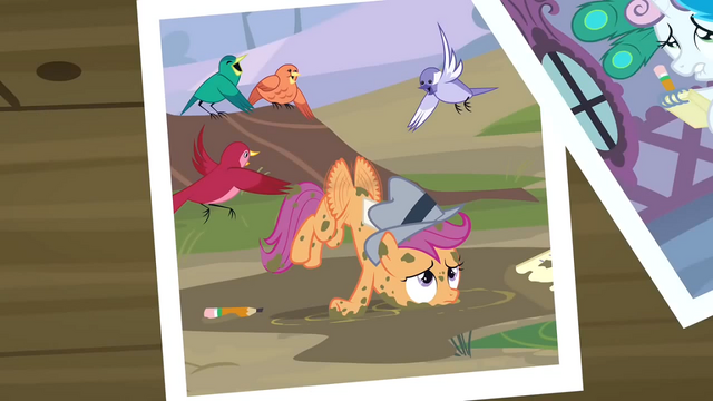 File:Muddy Scootaloo photo S2E23.png
