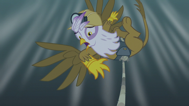 File:Gilda frightened S5E8.png