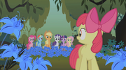 Applejack and friends looking at Apple Bloom S1E09.png