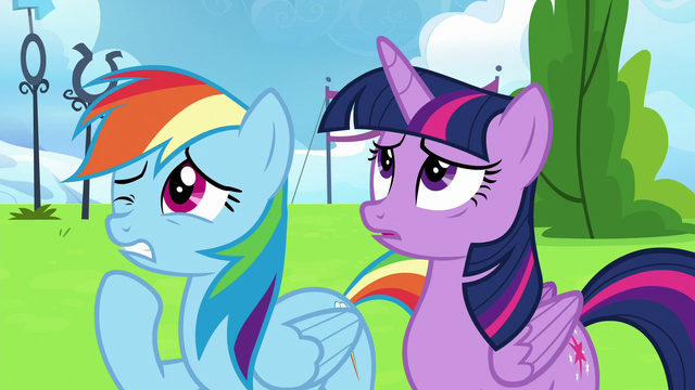 File:Twilight Sparkle and Rainbow Dash wincing S6E24.png