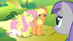 Angel Celoso Maud Pie.png