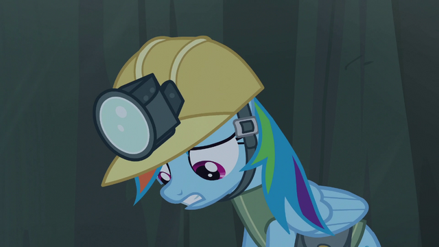 File:Rainbow Dash scared S5E8.png