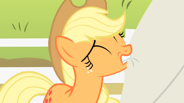 File:Applejack about to pull the tarp S4E07.png