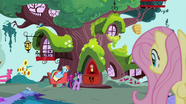File:Fluttershy sees Rainbow and Twilight S4E21.png