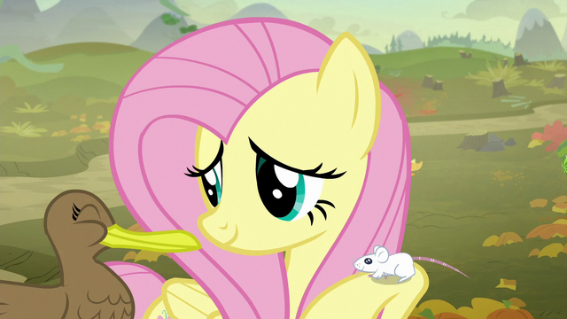 File:Fluttershy with a mouse and duck S5E23.png