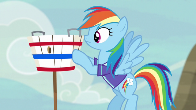 File:Rainbow Dash sets up the goal basket S6E18.png