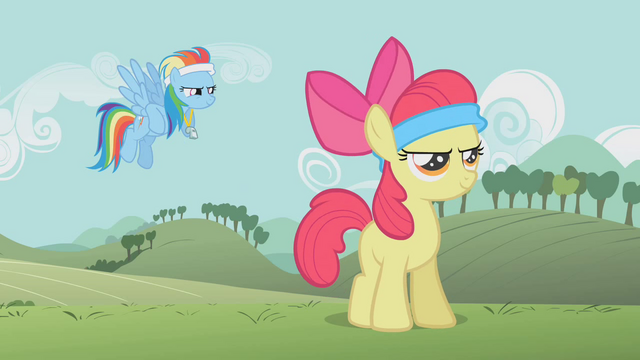 File:Rainbow Dash "Are you ready?" S1E12.png
