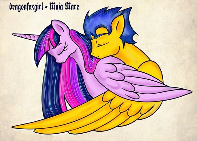 File:FANMADE Twilight and Flash Sentry by dragonfoxgirl.jpg