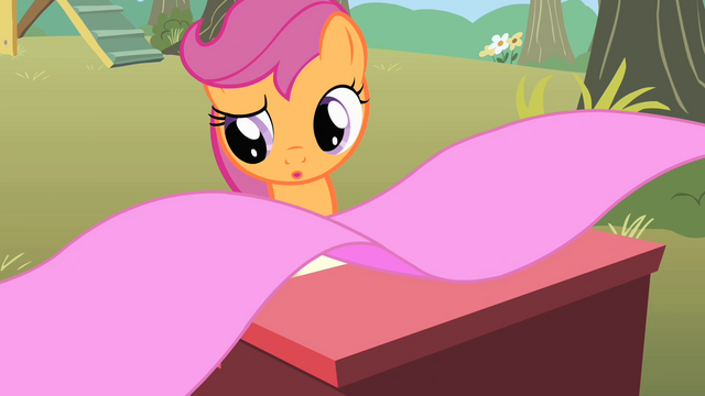 File:Scootaloo wondering S1E18.png