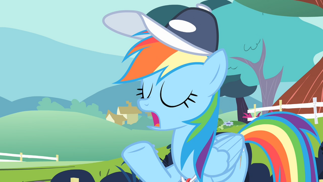 File:Rainbow Dash being professional S4E05.png
