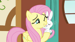 Angel nuzzles Fluttershy S3E13.png