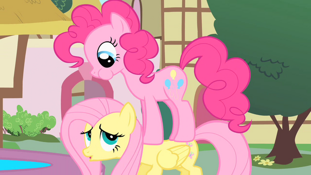File:Fluttershy "excuse me" S01E22.png