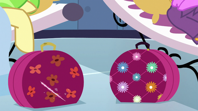 File:Flower baggage S3E12.png