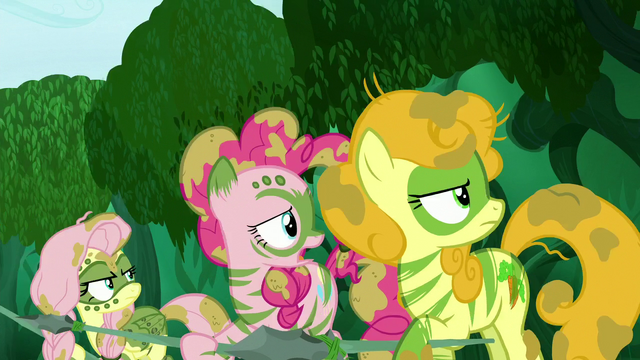 File:Fluttershy, Pinkie, and Golden Harvest moves their eyes to Zecora S5E26.png
