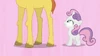 S02E17 Sweetie Belle i wysoki kucyk.png