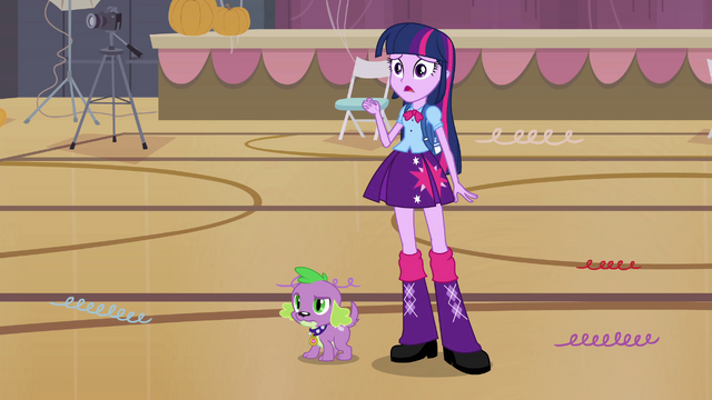 File:Twilight asking about Rainbow Dash EG.png