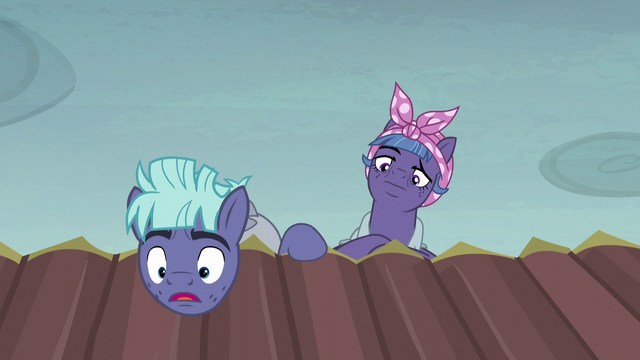 File:McColt stallion "you're an Alicorn!" S5E23.png