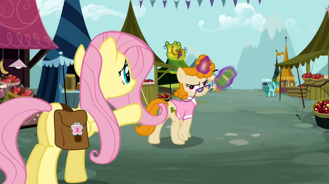 File:Fluttershy never seen S02E19.png