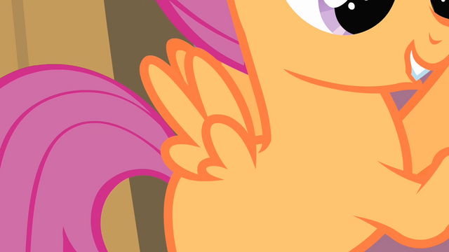 File:Scootaloo's wings S4E05.png