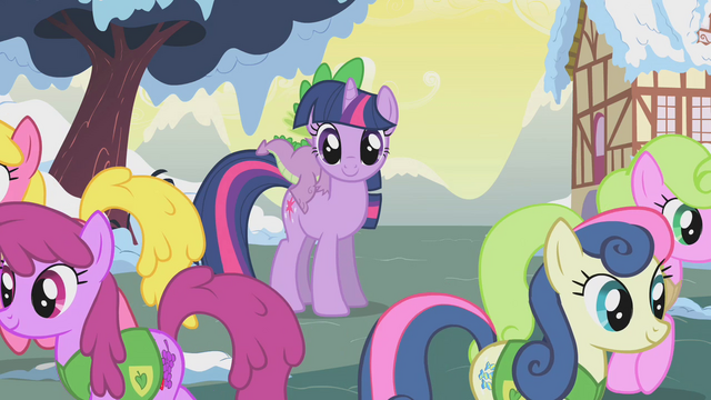 File:Ponies walk away from Twilight S1E11.png
