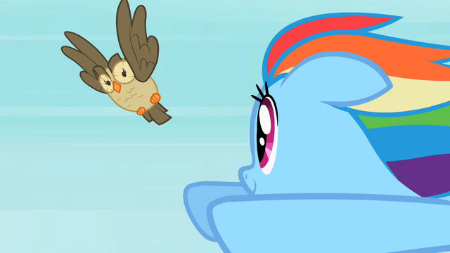 File:Rainbow Dash Owlowiscious 3 S02E07.png