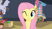 1000px-FluttershyMakeupS2E11.png