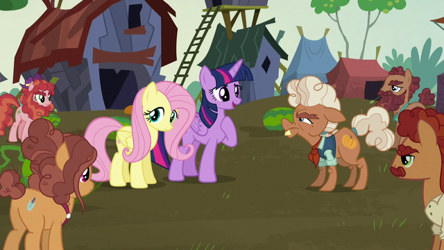 File:Princess Twilight Sparkle introduces herself S5E23.png