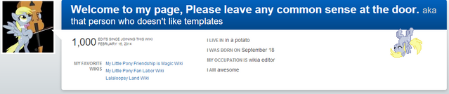 File:ThePonyLover867 1000 edits.png