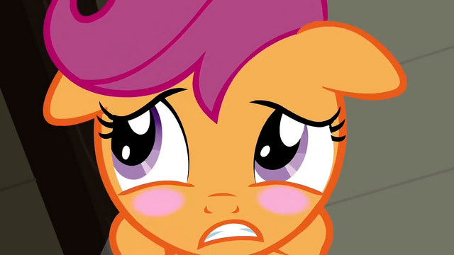 File:Scootaloo blushing S2E23.png