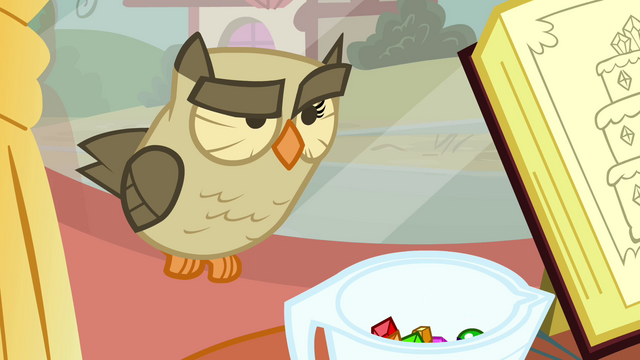 File:Owlowiscious raising eyebrow S3E11.png