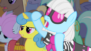 Photo Finish yells S1E20.png