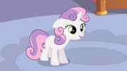 Sweetie "For the opening night of our show!" S4E19.png