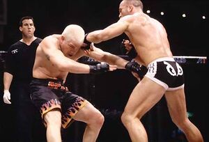 Wanderlei tito