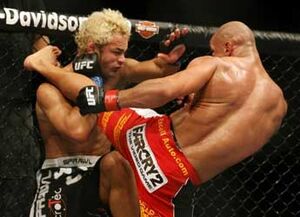 Alves-koscheck