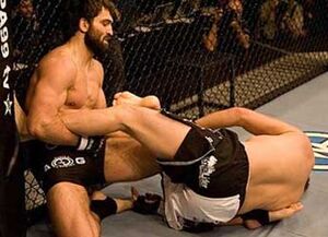 Arlovski-cruz