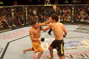 Sanchez vs diaz 005