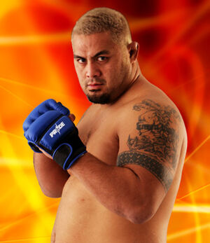Mark hunt
