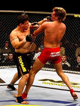 Tfrank mir1 001