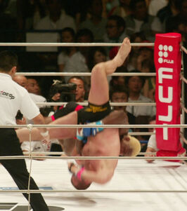 Fedor randleman