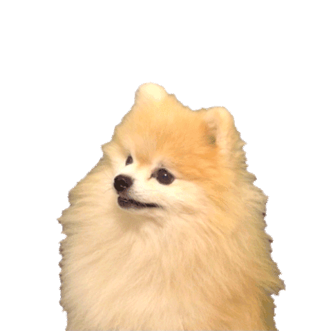 File:Dogbark.gif