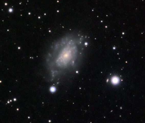 File:Ngc 5585-lrgb-09rewk-1.5x.jpg