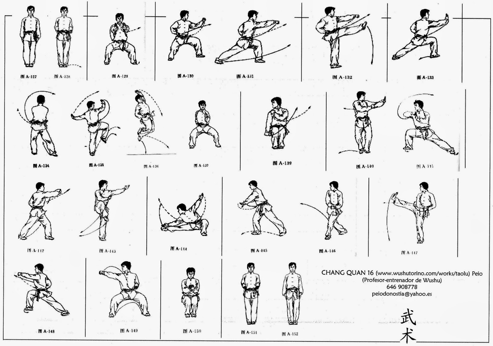 Wushu basics