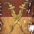 File:Malaya-units.png