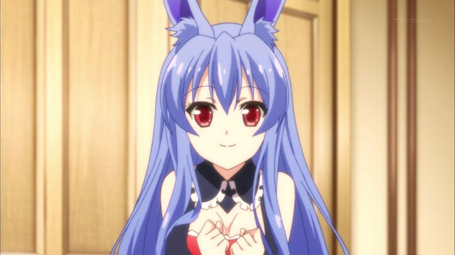 File:Kuro Black Rabbit.jpg