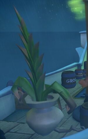 Chuck the Plant