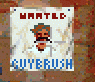 Wanted poster